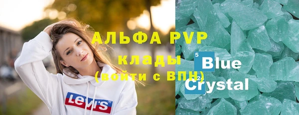 стаф Бородино