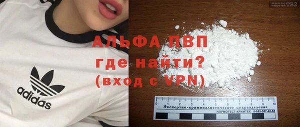 стаф Бородино