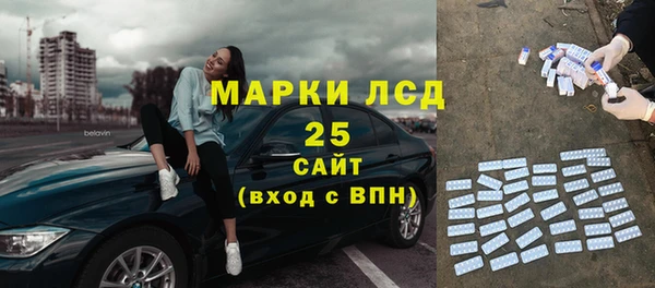 стаф Бородино