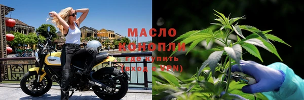 молекула духа Волоколамск
