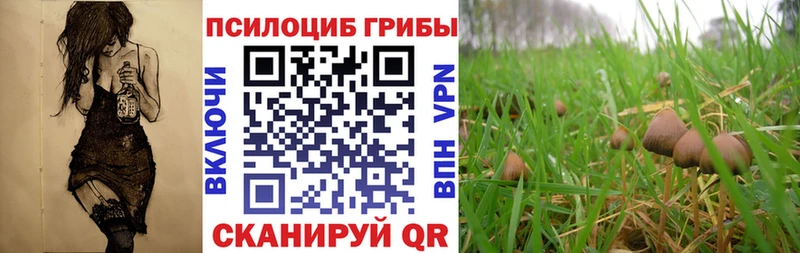 Галлюциногенные грибы Cubensis  Ворсма 